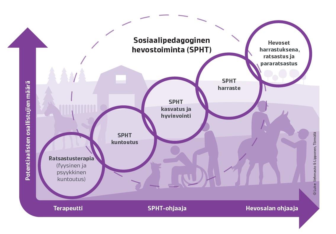 Sosiaalipedagoginen Hevostoiminta SPHT® | Sosiaalipedagoginen ...